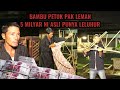 BAMBU PETUK PALING ASLI DAN MAHAL PALING DI CARI AGEN PRING PETUK JASI KAYA VIRAL TIKTOK