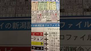 競馬予想🏇　新潟記念　スカーフェイス　エヒト