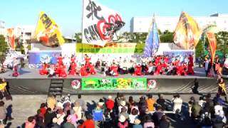 ＣＨＩよＲＥＮ北天魁　02　in　草加ふささら祭り　踊るん♪よさこい　2016