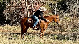 STREAKINLITTLECOOKIE 5 year old Reg AQHA (cookie)