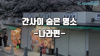 오사카 근교 나라여행 - 숨겨진 여행지를 소개합니다 2탄!