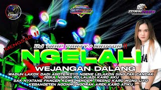 DJ NGELALI TRAP PARTY NROTOK KANE X WEJANGAN DALANG‼️ EDISI MEGSAD 2K25‼️