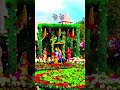 तू मेरा मैं तेरा प्यारे@.. radha krishna vrindavan shortsfeed shortvideo youtube trending