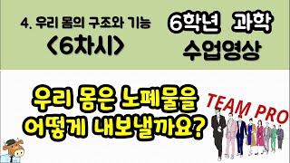 [팀프로 6학년 과학 수업영상](4단원 우리 몸의 구조와 기능)6차시_우리 몸은 노폐물을 어떻게 내보낼까요?