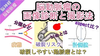 脳動脈瘤の画像診断と撮影法ー破裂リスクの評価と漏斗状拡張との鑑別ー