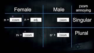 Lesson No.12 - Adjectives of plural nouns in Hebrew