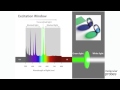 Molecular Probes Tutorial Series—Overview of  Filters and Light Sources