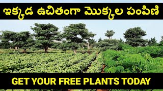 Free Plants Giveaway by Telangana Government 🌳 Tellapur GHMC Urban Forestry Nursery - Hyderabad