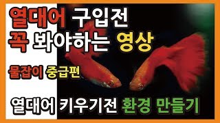 열대어 사러가기전에 꼭 봐야할 영상 -물잡이중급-안시박사-열대어키우기