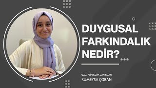 Duygusal Farkındalık Nedir?