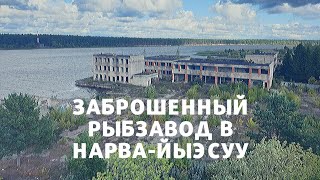 Заброшенный рыбзавод в Нарва-Йыэсуу