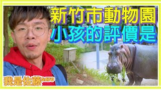 新竹新景點推薦｜新竹市立動物園Hsinchu Zoo｜新竹動物園懶人包｜好笑的童言童語超爆笑｜全台最老動物園重生全攻略｜2020過年出遊景點推薦