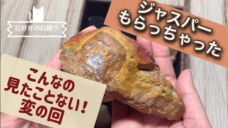 〜変の回〜 海で拾った変わった石