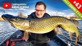 MONSTERHECHTE im Winter 😲🎣🔥