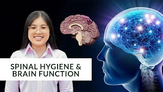 Spinal Hygiene and Brain Function