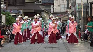 【4K】蜷川乱舞桜（第22回 能登よさこい祭り 元町会場)