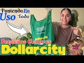 Pequeñas COMPRAS DOLLARCITY ✅| Poniendo en USO todo |Gledis S Chirinos✨