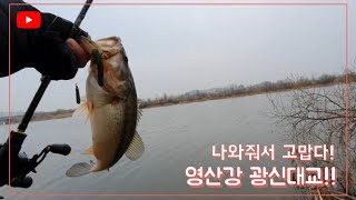 [배스낚시]영산강 광신대교-고마운 배스!!