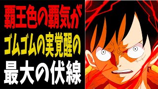 【1026話】ゴムゴムの実覚醒のカギは覇王色の覇気！？ルフィが秘める衝撃の特殊能力とは...【ワンピース考察】