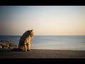 Dub Techno Session #29