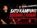 SAYA LIAT SENDIRI KEPALA KUYANG MENYATU KE BADAN MANG !! KISAH MISTIS KUYANG DI KALIMANTAN