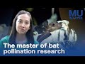 The​ master of bat pollination research | MU The Master