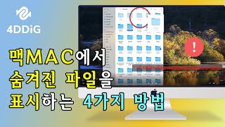 맥북에서 숨겨진 파일을 표시하는 4가지 방법,  파일 복구 방법까지 정리 [2023]