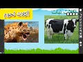 ماذا تحتاج الحيوانات و ماذا تأكل الحيوانات الصف الاول