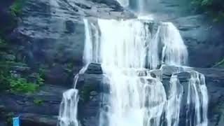 குற்றால அருவியின் உச்சி அரியவகை  .KUTTRALAM FALLS BOTTOM TO TOP VIEW