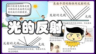 【光的反射】四年级\u0026五年级科学—光的特性