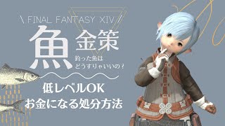 【FF14⚜️】漁師で釣った魚はどうすりゃいいの？お金になる処分方法🐟低レベルOK🎣魚釣りの金策