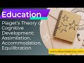 Piaget’s Theory of Cognitive Development: Assimilation, Accommodation, Equilibration | Education