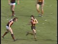 1984 vfl grand final essendon v hawthorn