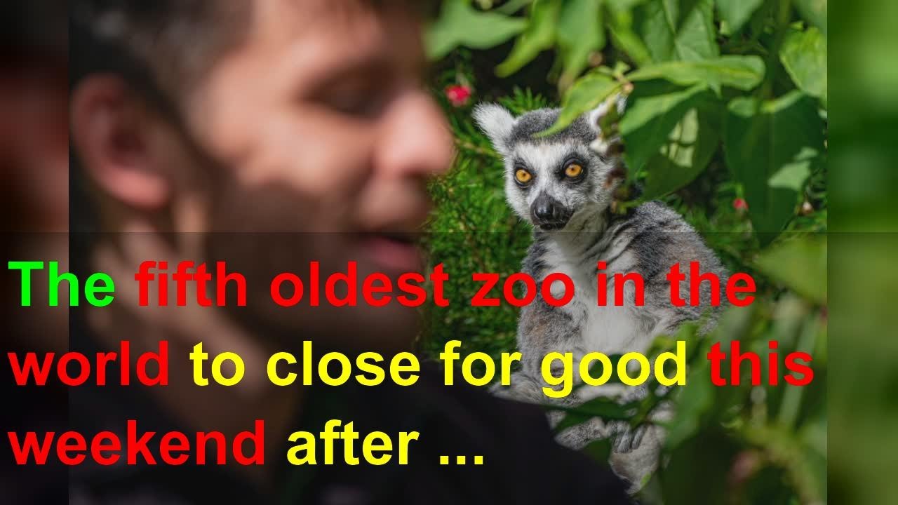 The Fifth Oldest Zoo In The World To Close For Good This Weekend After ...