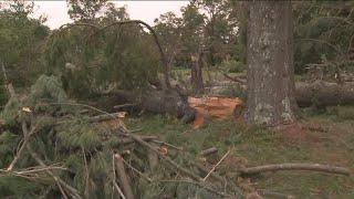 Eversource to remove storm-damaged trees in Branford