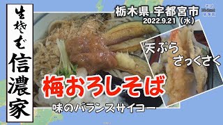 【そば】宇都宮 信濃家　天ざる　梅おろしそば　栃木県