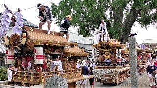 令和元年7月21日東大阪市稲田地区夏祭り　稲田八幡宮宮入