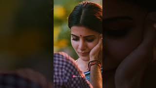 Vaalibangal odum vayadhaaga koodum WhatsApp status