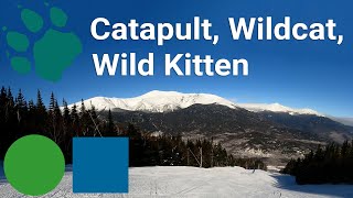 Wildcat Mountain - Upper Catapult to Middle Wildcat to Wild Kitten (Top to Bottom Run)