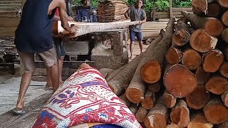 sawmil wood of eastern lombok