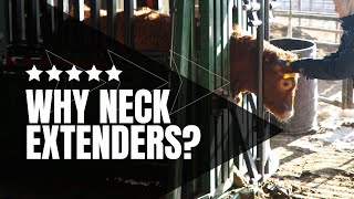 The Journey to The General | Ep 9 | Why Neck Extenders | HD Hydraulic Squeeze Chute