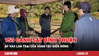 Thời điểm 150 cảnh sát Bình Thuận ập vào lán trại của vàng tặc giữa rừng | Báo Lao Động