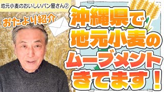 【輸入小麦】戦後、小麦をほぼ作れなくなった沖縄で今…！【地場小麦】