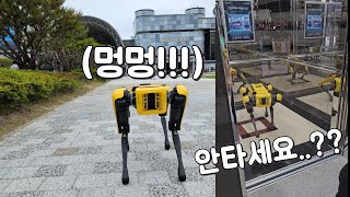 로봇 강아지가 돌아다니는 곳!!! 국립중앙과학관 모빌리티 특별전에 다녀왔어요