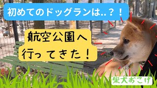 【柴犬】初めてのドッグランにおこげは....？！航空公園に行ってみた〜前編～【三毛猫】