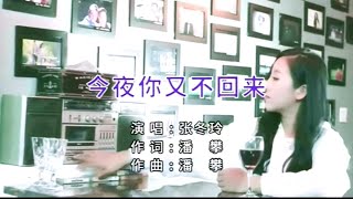 今夜你又不回来-张冬玲-伴奏 KARAOKE