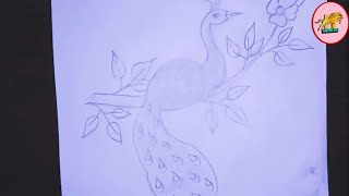 peacock Drawing|Drawing peacock 🦚|how to draw a peacock|peacock colour drawing|peacock🦚Drawing easy