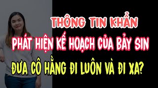 Thông tin khẩn phát hiện kế hoạch của Bảy Sin đưa cô Hằng đi luôn và đi xa hôm nay?