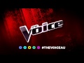 col usher sings when love comes to town the voice australia 2016