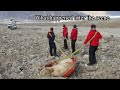 the polar bear attack that killed a 17 teen year old 2011 svalbard polar bear attack